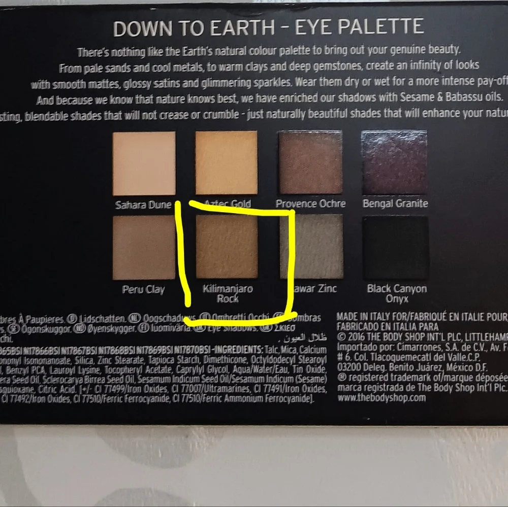 The Body Shop Down To Earth NIP Eye Shadow Single Refill Kilimanjaro Rock
